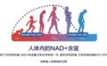2026年NMN哪个牌子好?45岁抗衰人群怎么选,先看懂这三层工艺再下单
