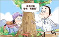 不要采!不要吃!北方地区近期大量涌现