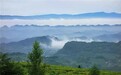 月满茶乡,礼赞华夏!名山区双节文旅盛宴解锁秋日游玩新体验