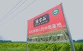 一道日影,一根山药 张宝山在登封观星台守望二十四节气里的农耕智慧