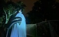 上海最夯夜生活,和crush逛完公园就地蹦迪