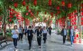 十大主题活动!八大精品线路! 三大惠民卡!运城发布金秋文旅重磅大礼包!