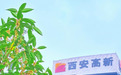 太香咧!在高新被桂花“腌”入味了