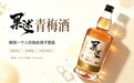 果述青梅酒丨解锁一个人的独处搭子图鉴
