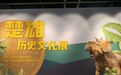 宜春这里,居然能看到真的恐龙蛋