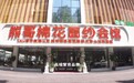 CKU永久认证+FCI国际血统双保障「熊哥棉花面纱」凭什么成为纯种棉花面纱犬的品质标杆?