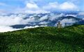 “山”字系的故事——丽水如何把绿水青山变成品牌资产?