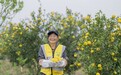 从土地撂荒到柚果飘香:柚香谷全产业链模式打通农民稳增收的 “最后一公里”