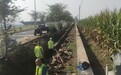 党旗引领振兴路 汗水浇开“香甜道口”