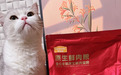 2026年猫咪口粮种草,麦富迪原生鲜肉猫粮实力圈粉