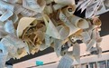 工程纪实融文学叙事 《跨越解码》新加坡卓尔书店新书发布
