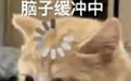 啥题啊能干崩OpenAI最强模型训练