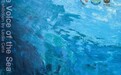 《海的声音》·莱迪亚·切塔作品展在深圳开幕