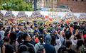 大鲍岛国庆首日迎客13万人次 多元文旅活动持续上新