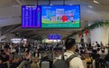 白云山星群品牌专列上线|山海之间,健康随行
