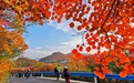 醉美金秋•相约焦作:六大板块燃动双节,十条精品线路开启怀川文旅盛宴