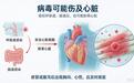世界心脏日|熬夜遇上腹泻,当心病毒性心肌炎找上门