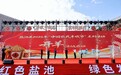 京东开羊季收官站落地“中国滩羊之乡”!首批定养数万只滩羊,助力农户稳增收