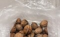 鄞州手艺人远赴木里,把手艺变成陪读妈妈的“居家饭碗”