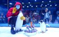 三载筑梦,万事皆OK!郑州海昌海洋公园深耕中原,再启新篇!