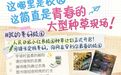 我的美好校园|西译等你来“安利”!