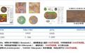 火星曾是水世界?中国制图将还原其前世今生