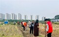 一块良田守初心 方寸乡土暖民心——眉山市彭山区毛店社区“毛毛有点田”赋能基层善治