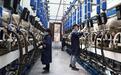 十四年科研攻关 甘肃永昌填补国内奶绵羊自主育种空白