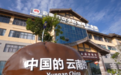 现有花店转型升级,花间密码花瓣咖啡,传统花店破局升级新路径