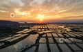 都昌县:水产养殖场现绚丽晚霞(图)