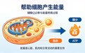 怎么判断辅酶Q10好坏?多品牌资质、检测报告一次性对照