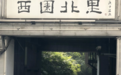开福区西园社区:党群同心,睦邻共筑“幸福里”