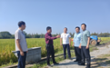 田埂上的“秋收第一课”:江北部门联动送服务,预约式指导到田间