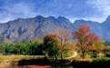 大别山下绘新景 老区振兴谱新篇