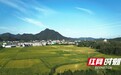 把天安门“搬”进村委大院!桃江县修山镇公益拍照圆老人家国心愿