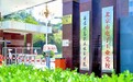 生物基双通道柔性传感材料 探索湿度与人体动作协同感知