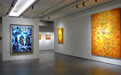 时序五境,万象藏光|高雅瑜《五境藏光》当代艺术个展 在厦门盛大启幕