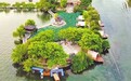 湖心古园 重焕新生!探访南昌八一公园苏圃春蔬
