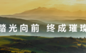 华为Mate 90系列正式亮相:从一道光到千万道光的十三年极致探索