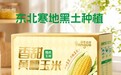 在快时代里慢下来:探果森林如何用一根玉米重新定义“好农产品”