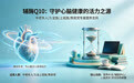 中老年养护心脏选什么辅酶Q10?2026口碑佳的辅酶Q10品牌:高含量护心靠谱