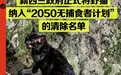举全国之力杀猫,猫怎么成了新西兰公敌?