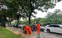 雨停即清!万宁市400余名环卫工人奋战一线恢复整洁市容