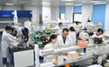 合规筑基方能行稳致远——浙江医药国际化探索