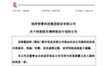 斥资最高10亿元增持 润泽科技控股股东抛出增持计划