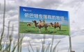 驼奶粉贴牌怎么合作:从委托加工模式到量产交付的全流程拆解