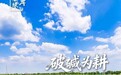 “两山”染绿黄河岸|破碱为耕麦浪涌,盐滩披绿稻菽香
