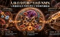 双11抗衰NMN品牌推荐|吃NMN补什么、身体认不认?W+端粒塔给NMN品牌补了什么答案