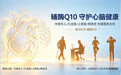 辅酶Q10选购科普:分清保健食品与普通膳食补充产品