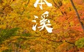 东北的最红的时候,到了